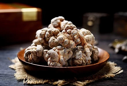 Notoginseng Extract Notoginseng Extract